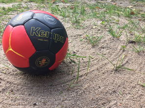 米兰体育·「中国」官方网站-国足比赛比赛状态分析,国足的比赛情况 第3张 米兰体育·「中国」官方网站-国足比赛比赛状态分析,国足的比赛情况 第3张